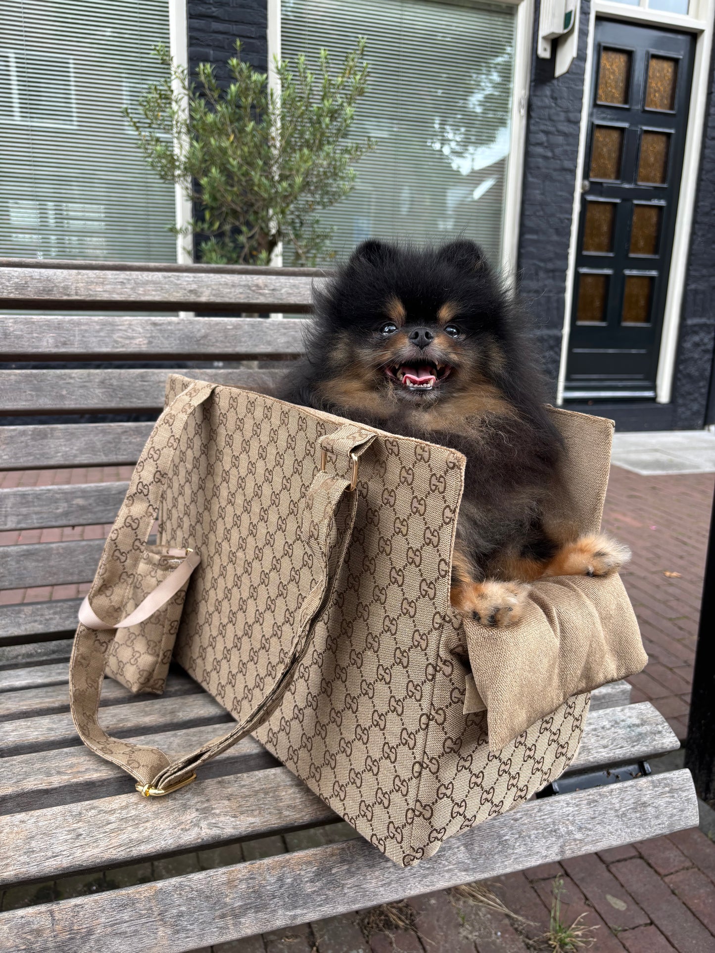 Tas Chip - GG beige