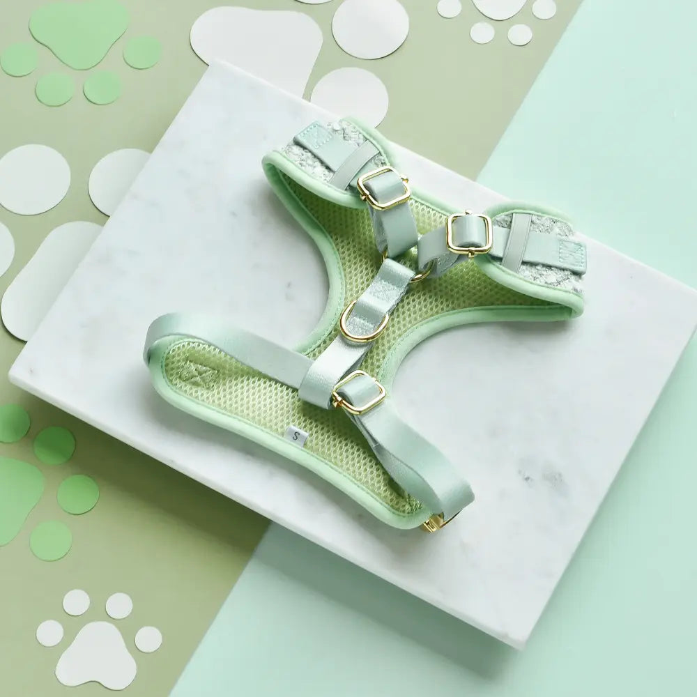 Cocopup London - Tweed Tuig Matcha
