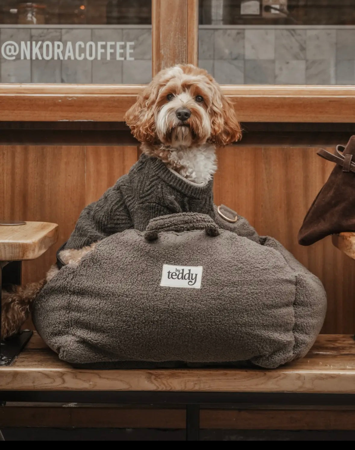 By Teddy - Autostoel chocolade