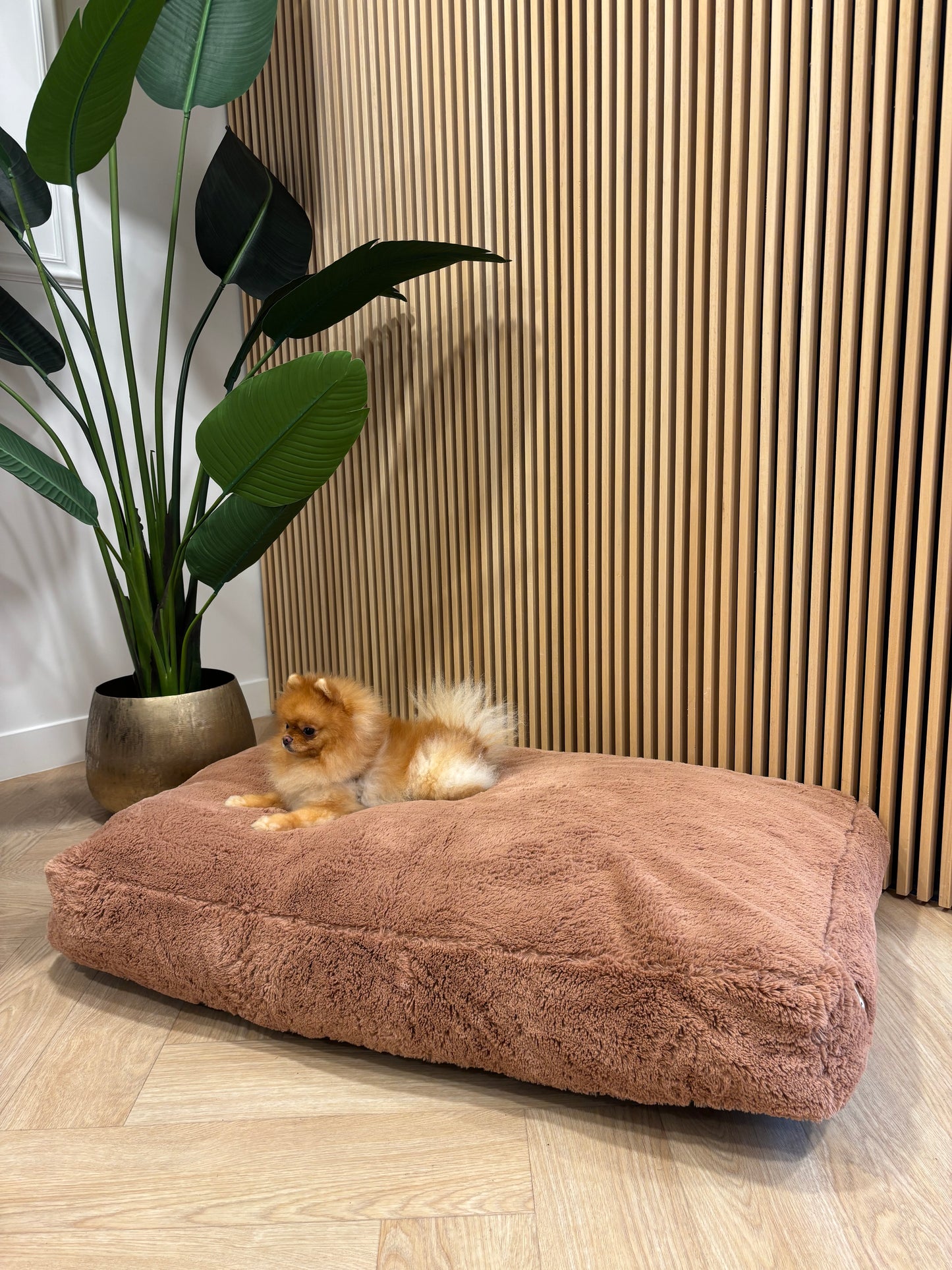 51DN - Zacht kussen terra