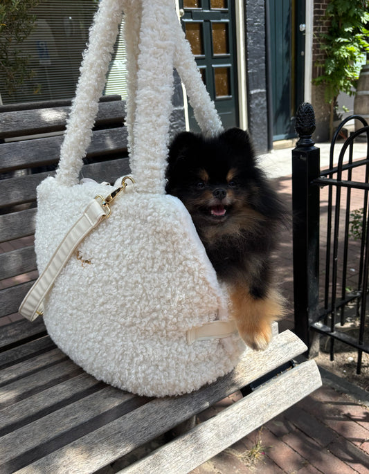 Eh Gia Fair Bag Teddy