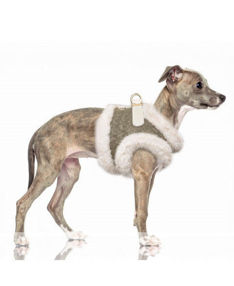 Milk & Pepper - Tuig Clarice