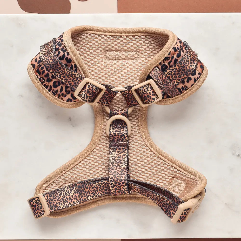 Cocopup London - Leopard tuig