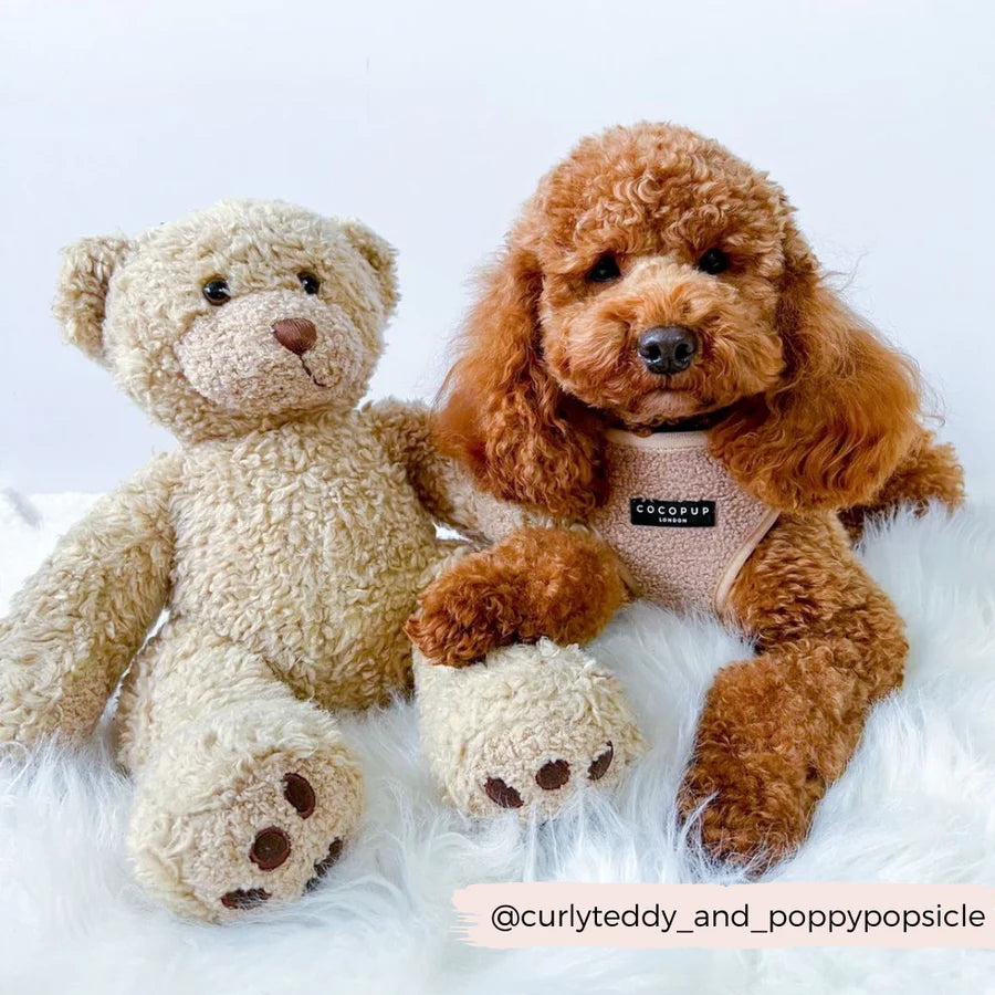 Cocopup London - Teddy Tuig Beige