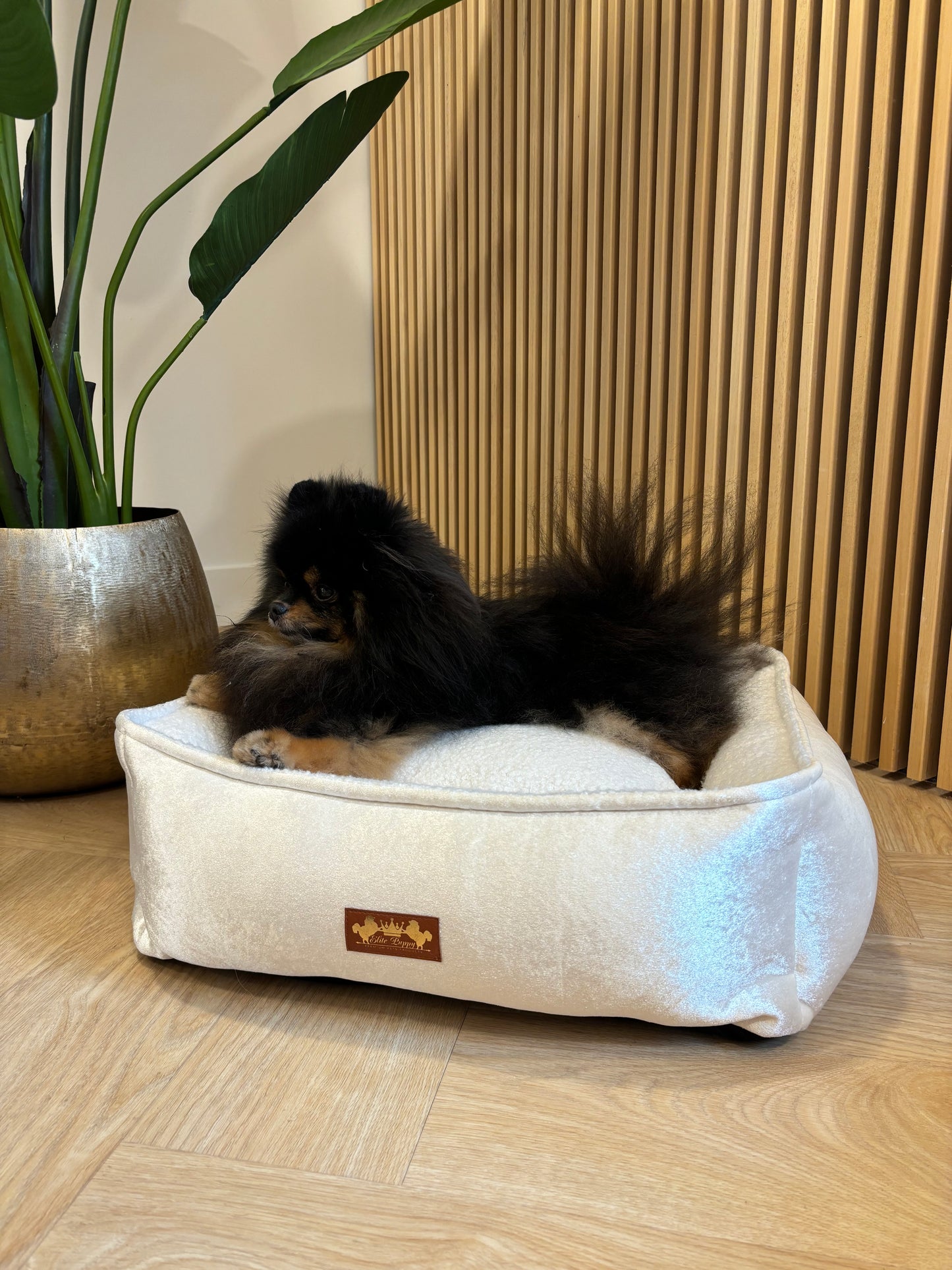Arctic Mand Champagne Teddy