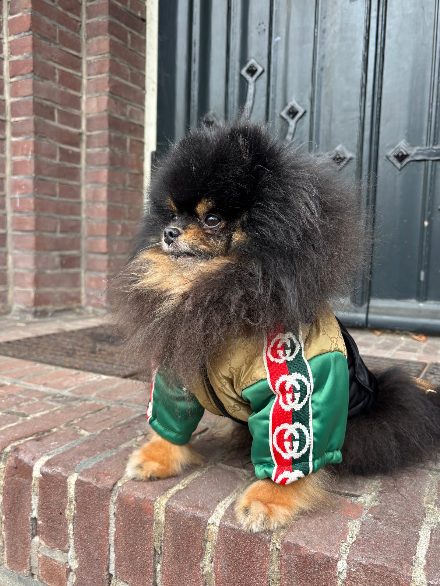 Puffer Jas - GG groen/goud