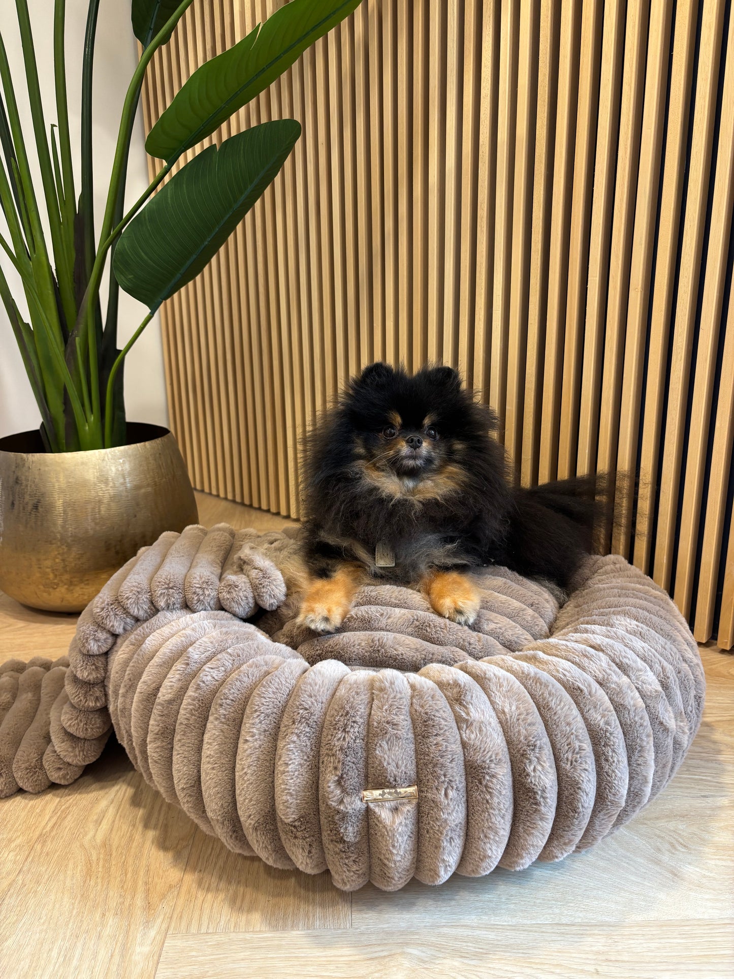 Donut mand Mishka - Bruin