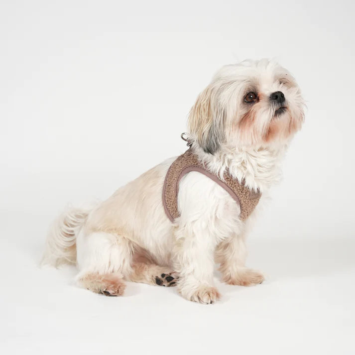 Staey - Hondentuig Teddy Mocca