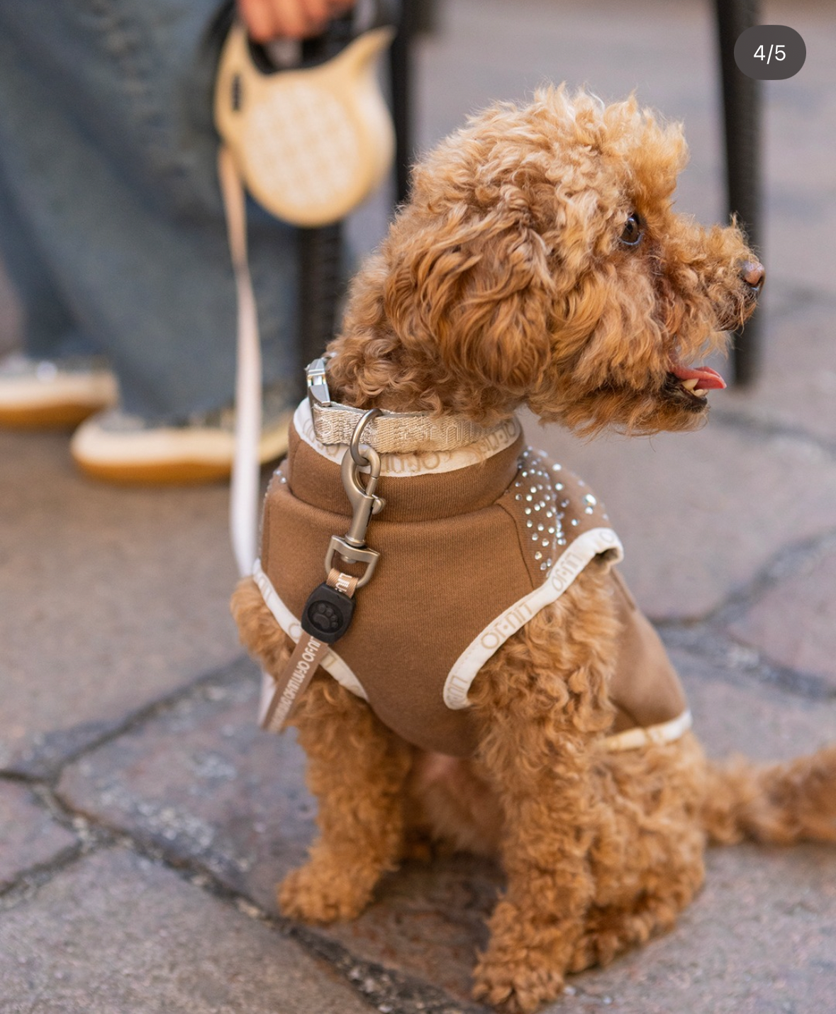 Liu Jo Pets - Trui met steentjes Caramel