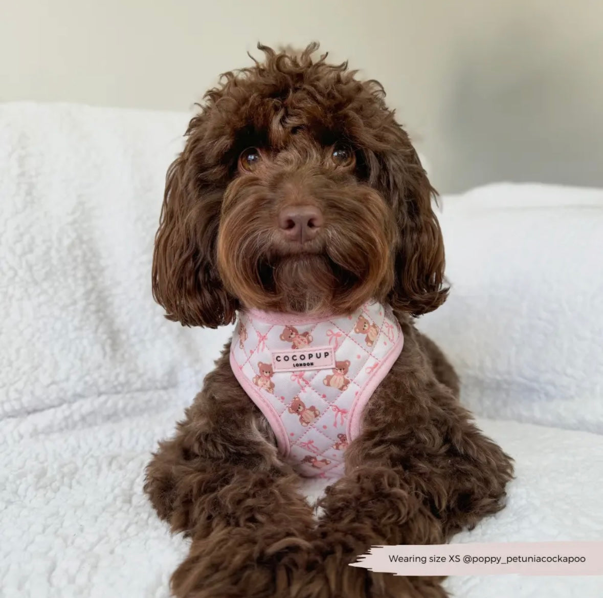 Cocopup London - Tuig teddybeer roze