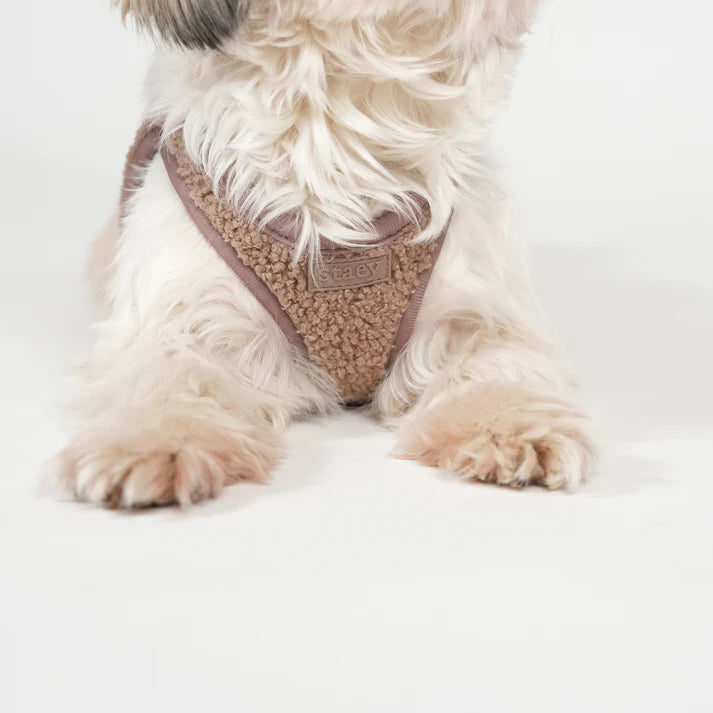 Staey - Hondentuig Teddy Mocca