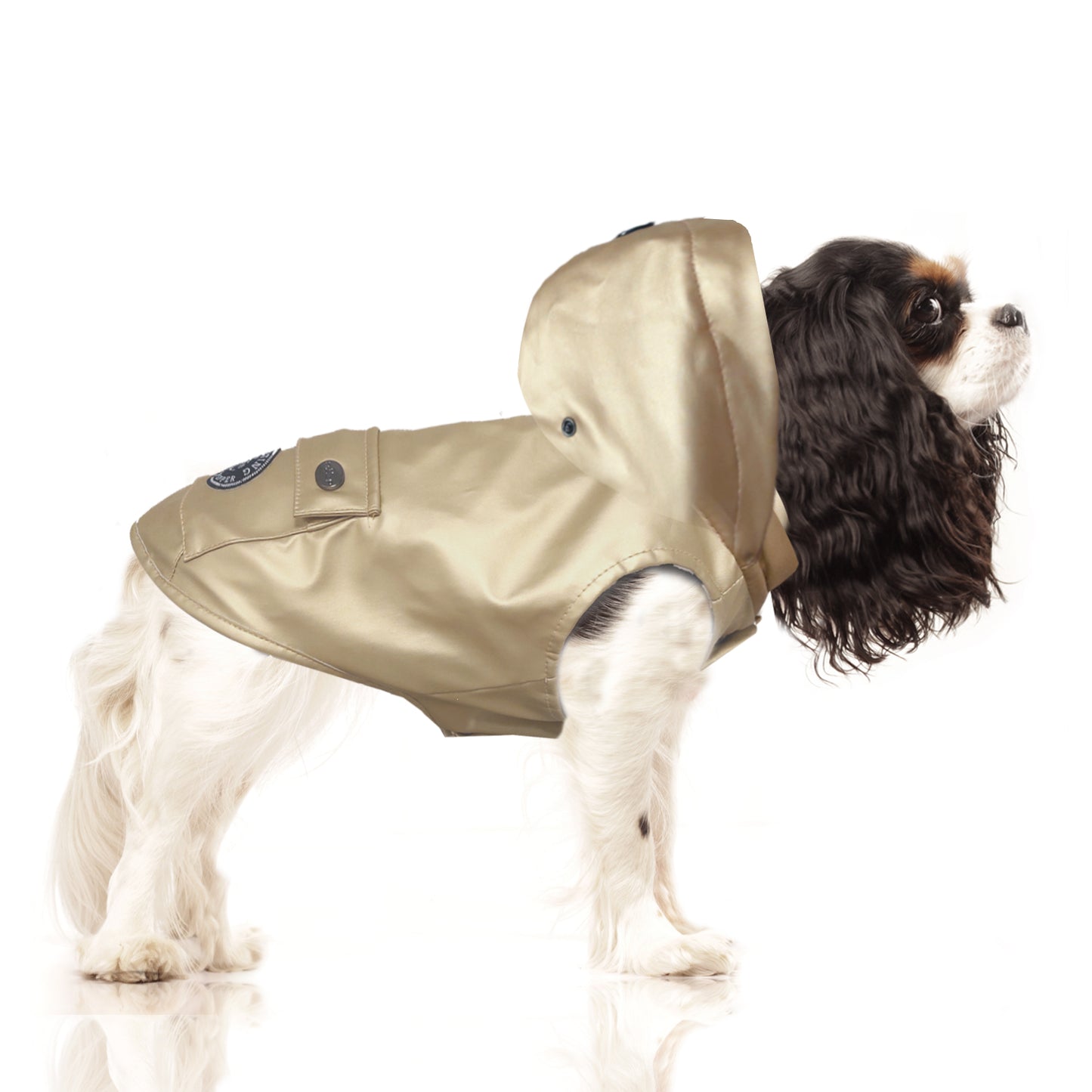Milk & Pepper - Regenjas Babord Goud