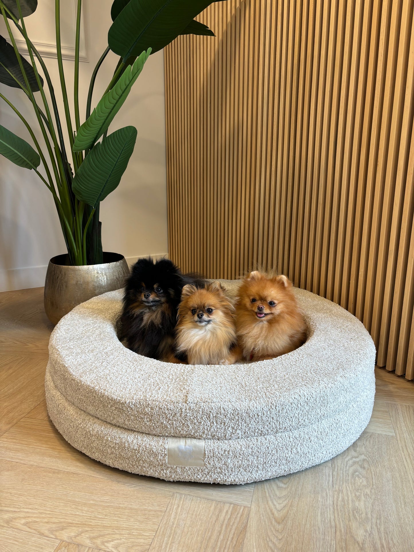Bouclé Teddy Mand rond