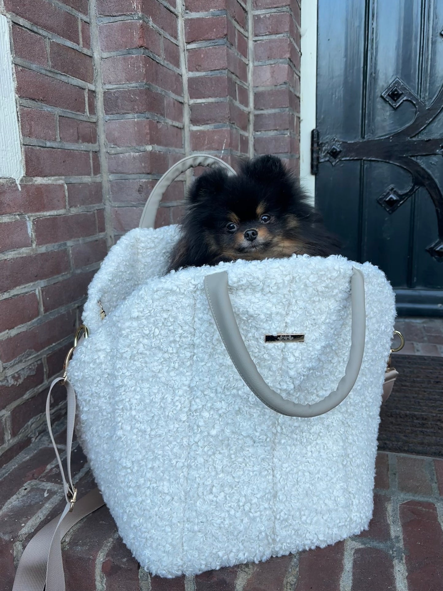 Teddy Bouclé tas