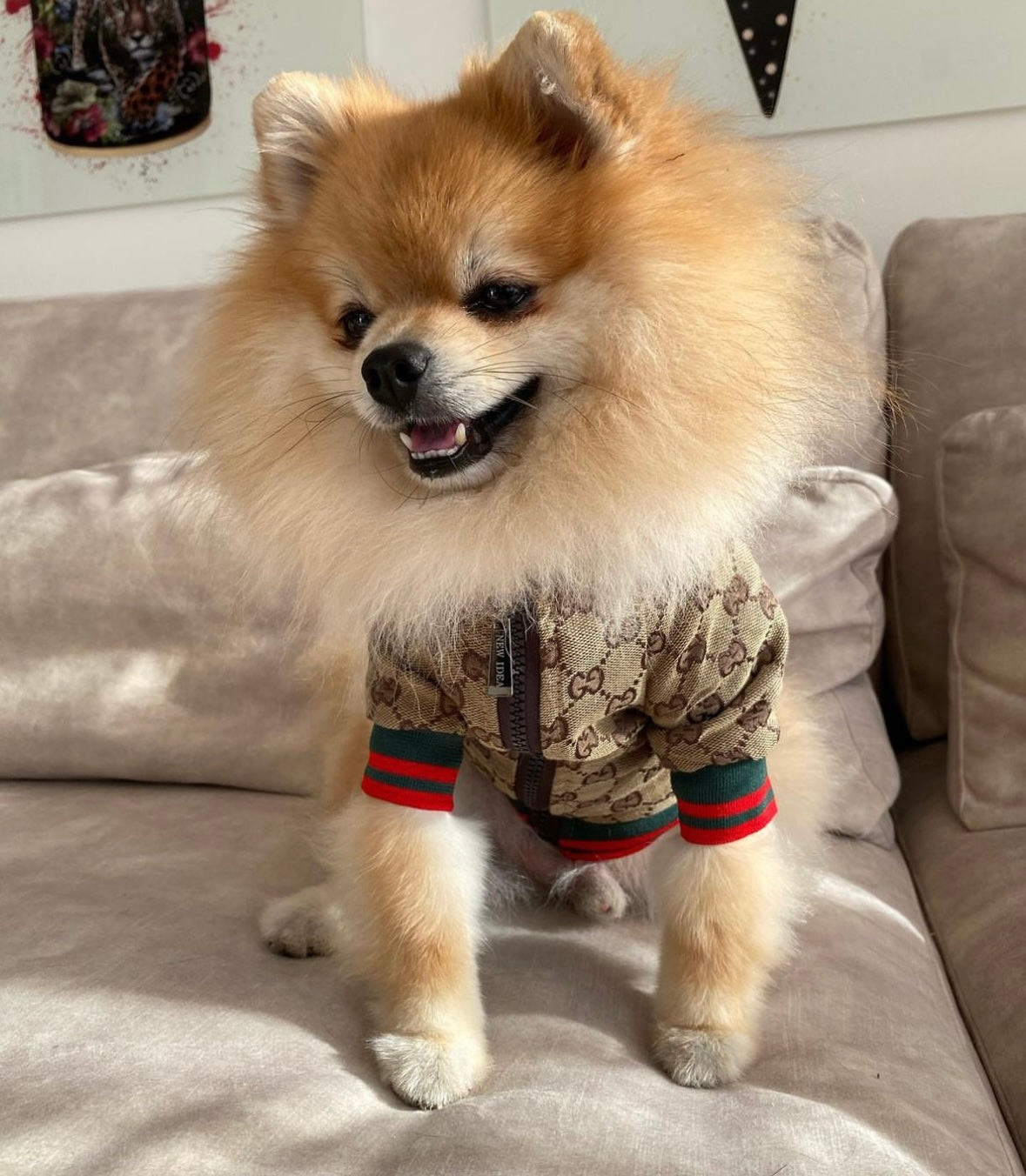 Vest met print bruin