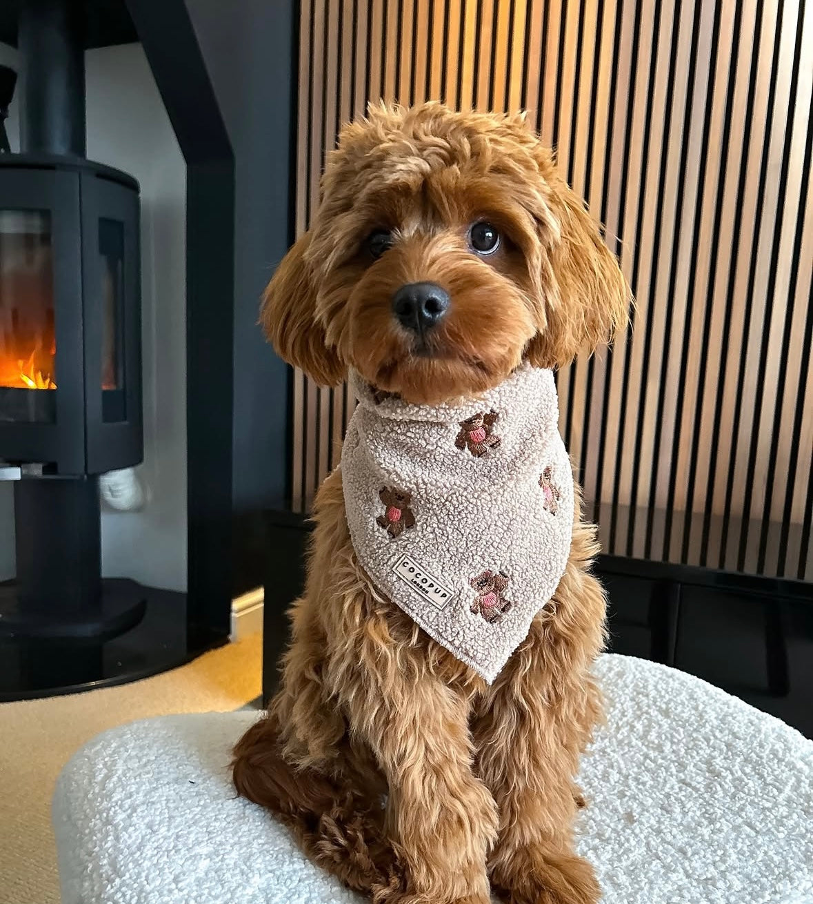 Cocopup London - Bandana Teddy