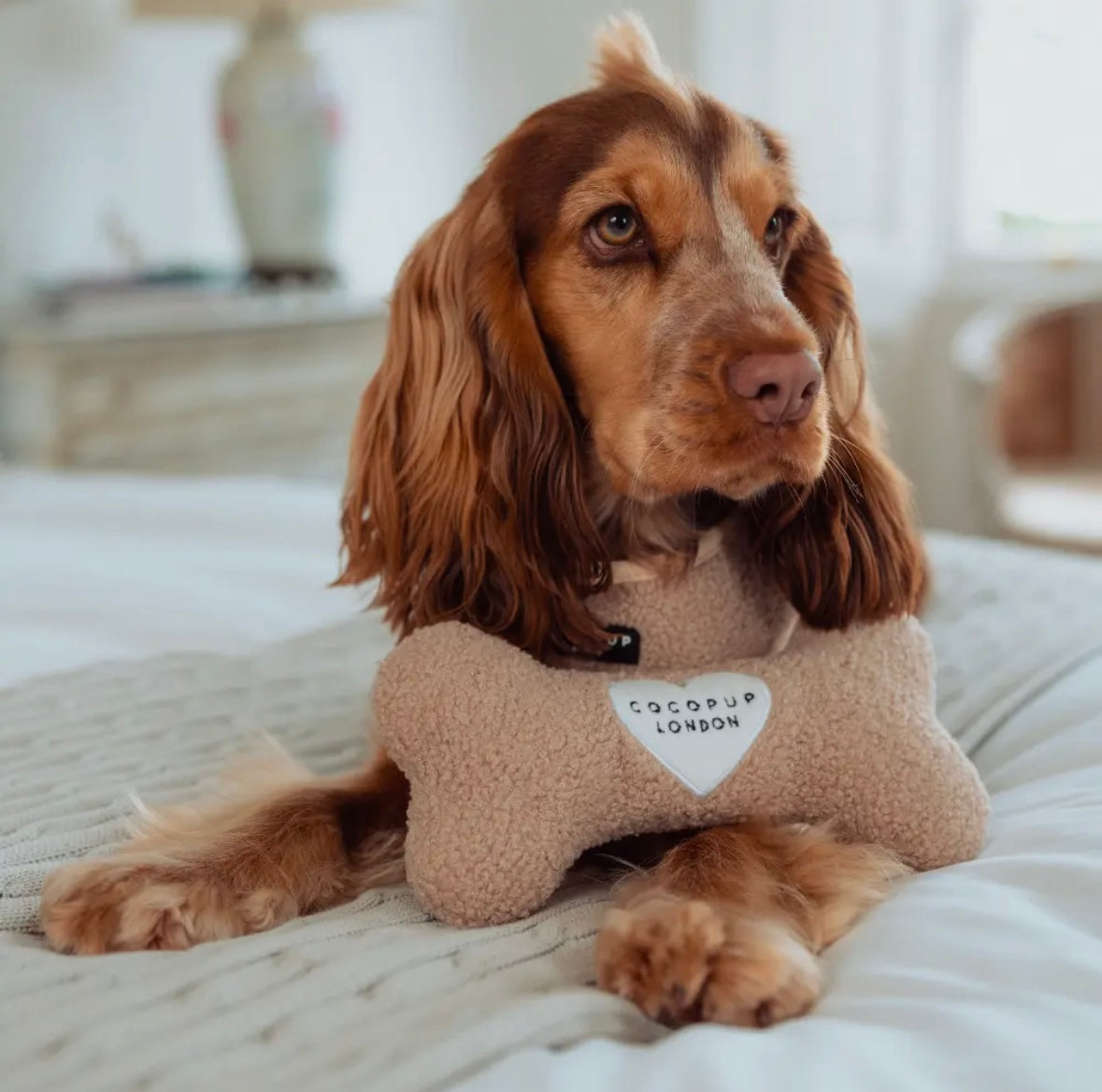 Cocopup London - Speelgoed bot Teddy