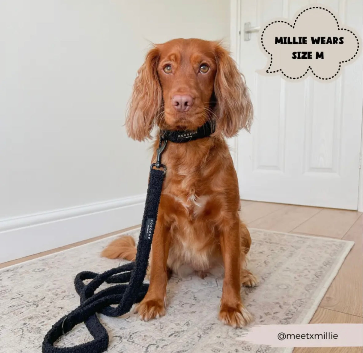 Cocopup London - Lijn Teddy zwart