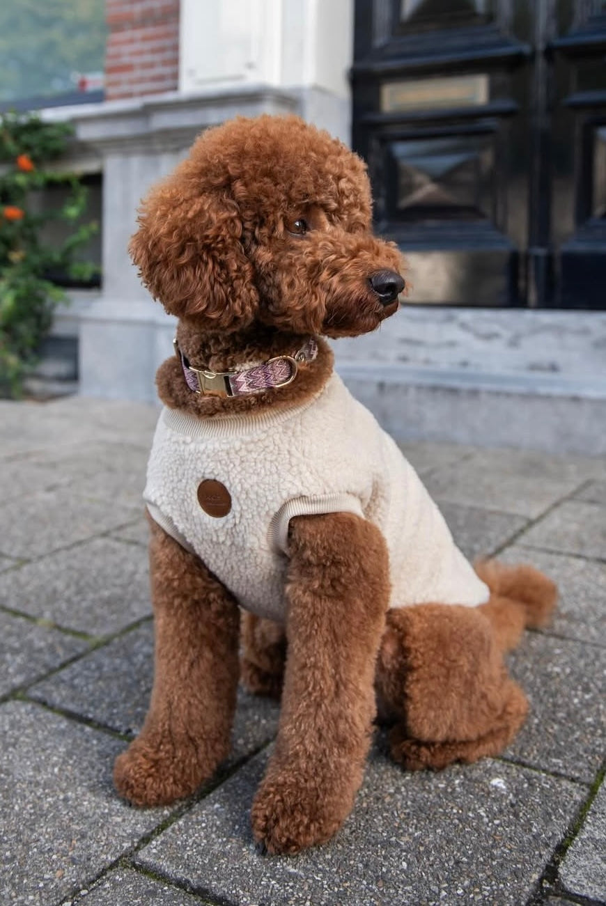 Walking Teddy sweater beige