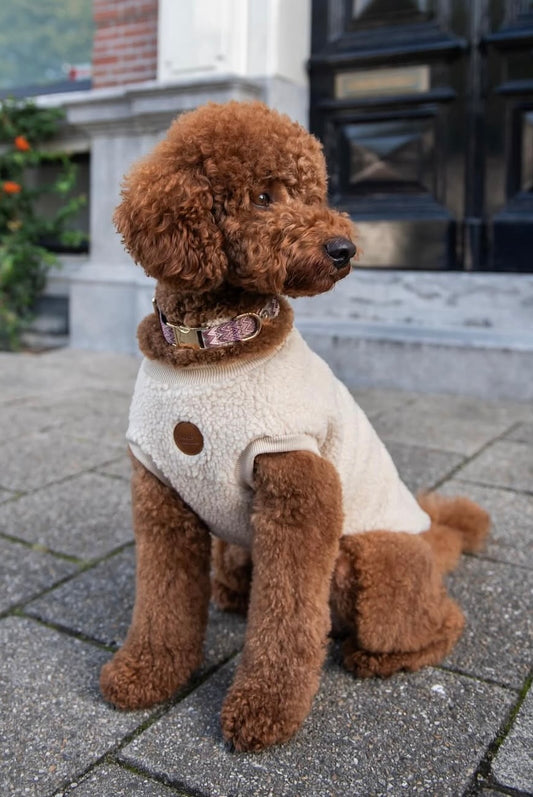 Walking Teddy sweater beige