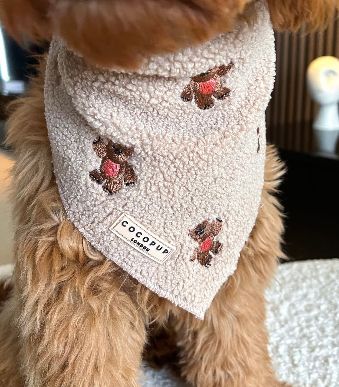 Cocopup London - Bandana Teddy