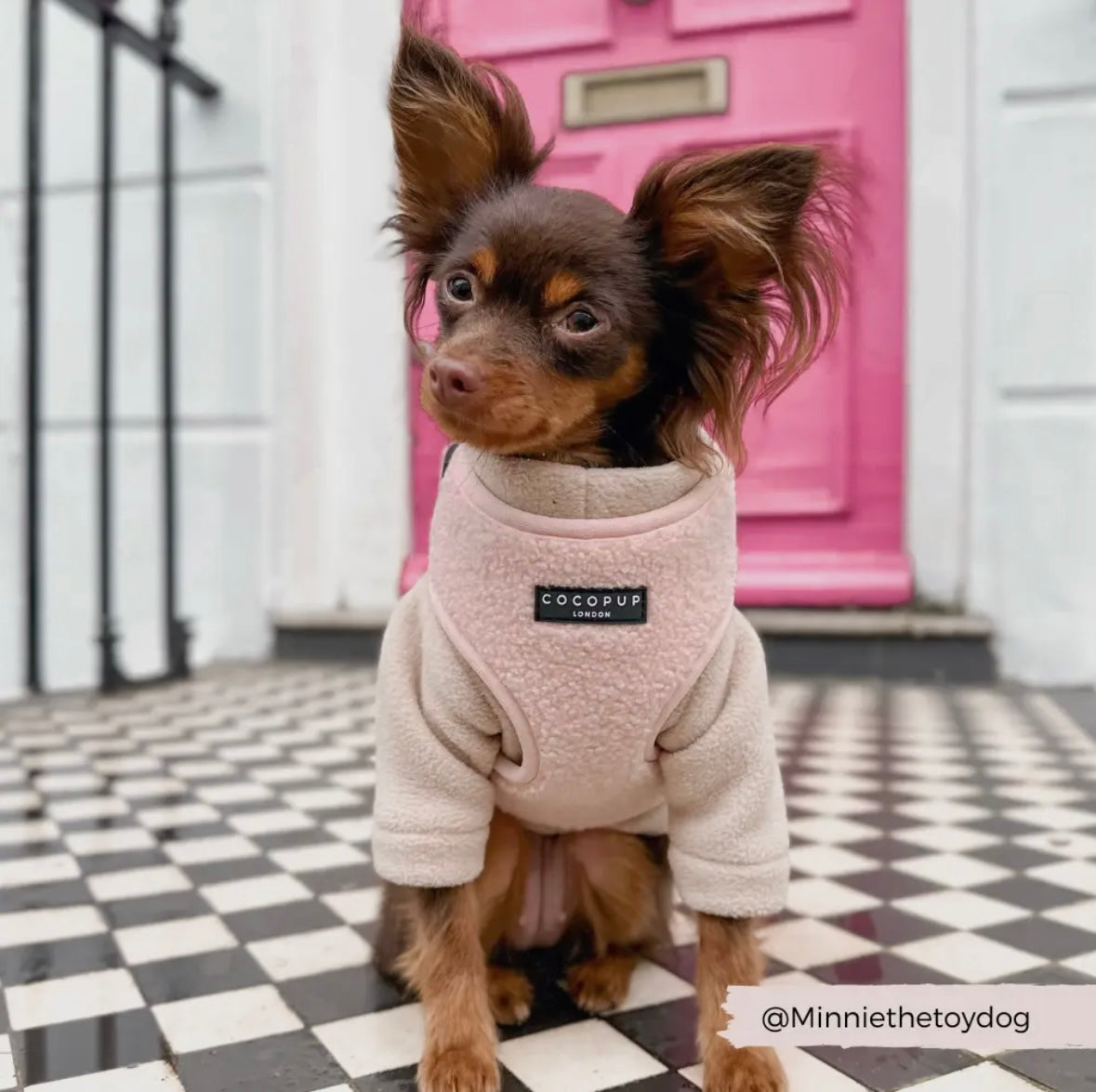Cocopup London - Teddy Tuig Roze
