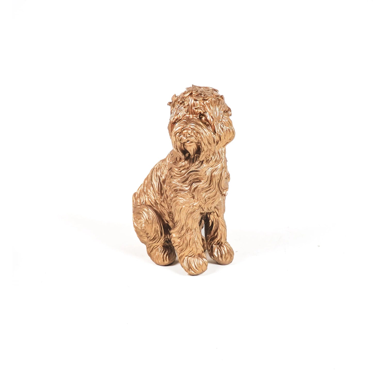 Beeld Labradoodle Goud