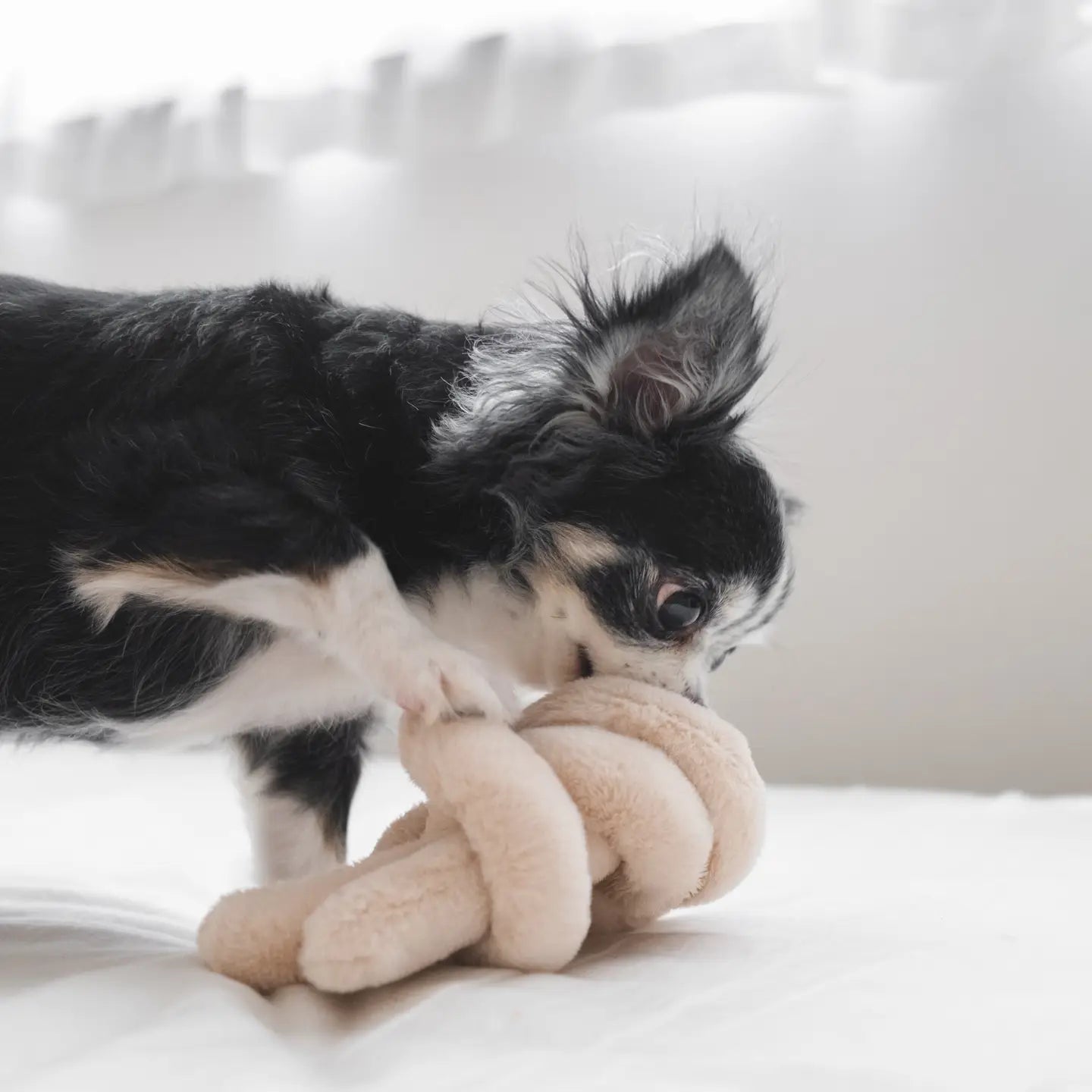 Lambwolf - NouNouNou Pearl