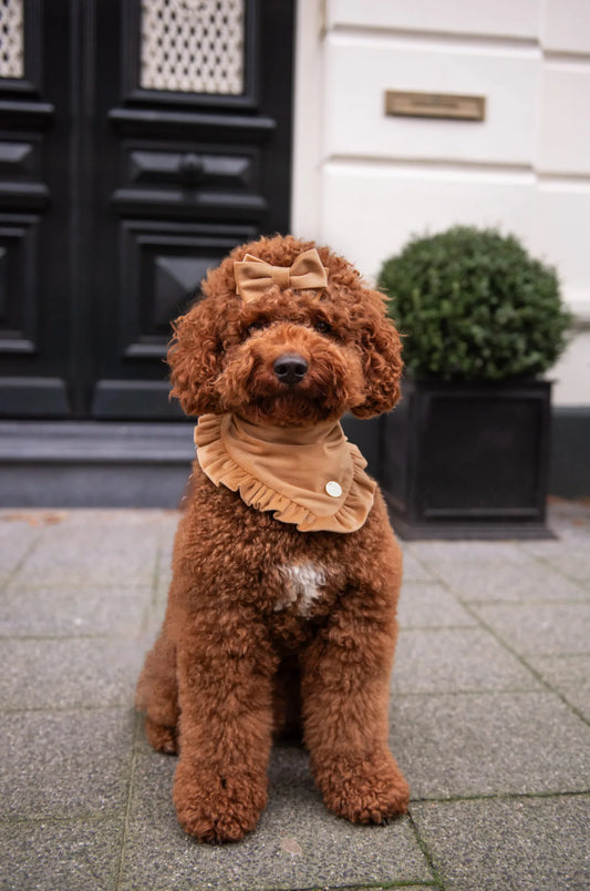 Bandana Ruffle Up Latte