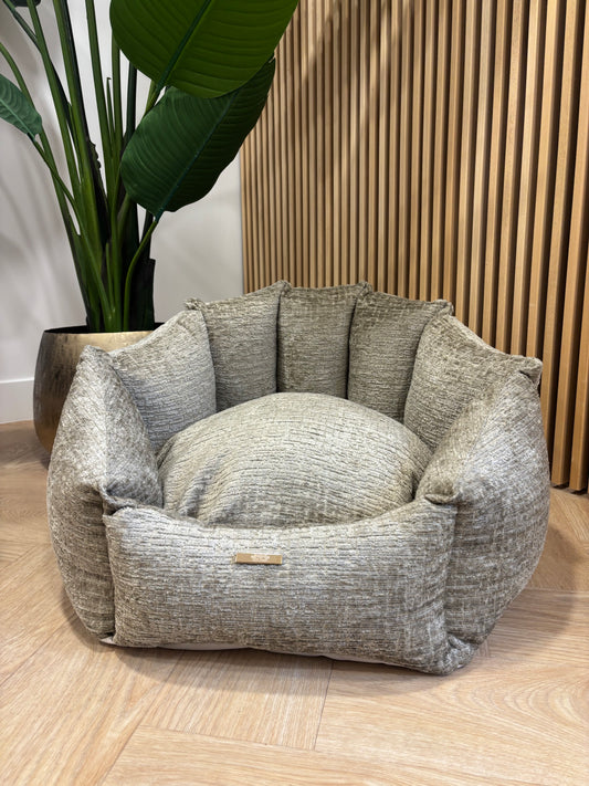 Shell Mand - Fusion champagne