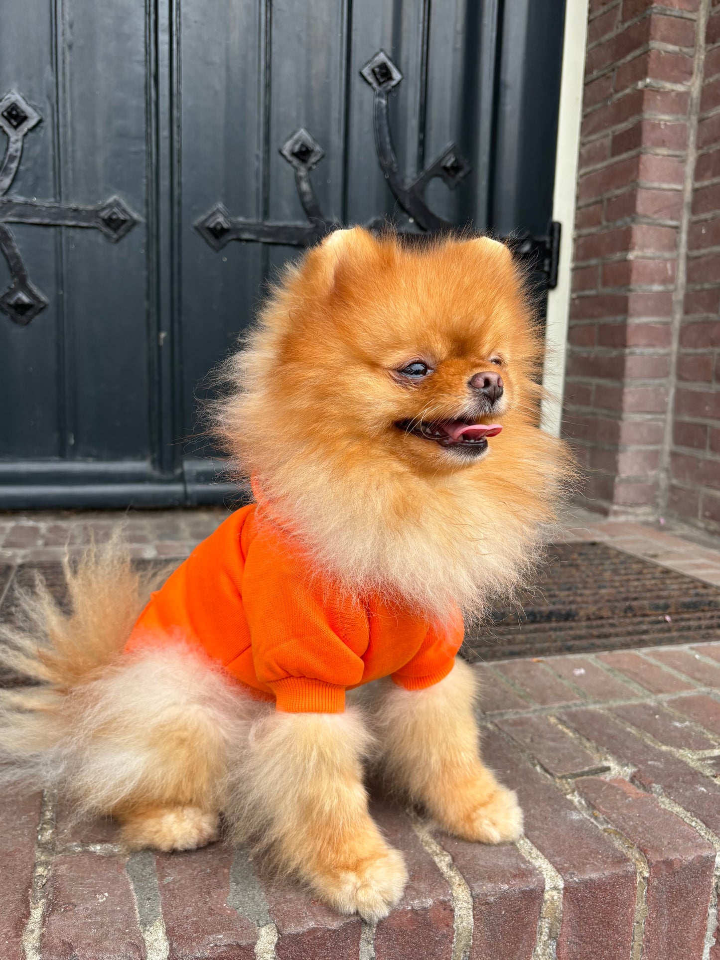 Kingsday - Oranje hoodie