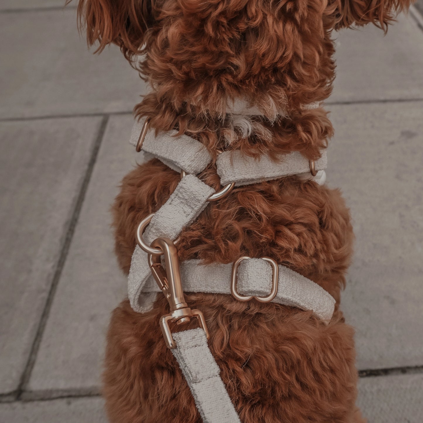 By Teddy - Bouclé tuig Marshmallow
