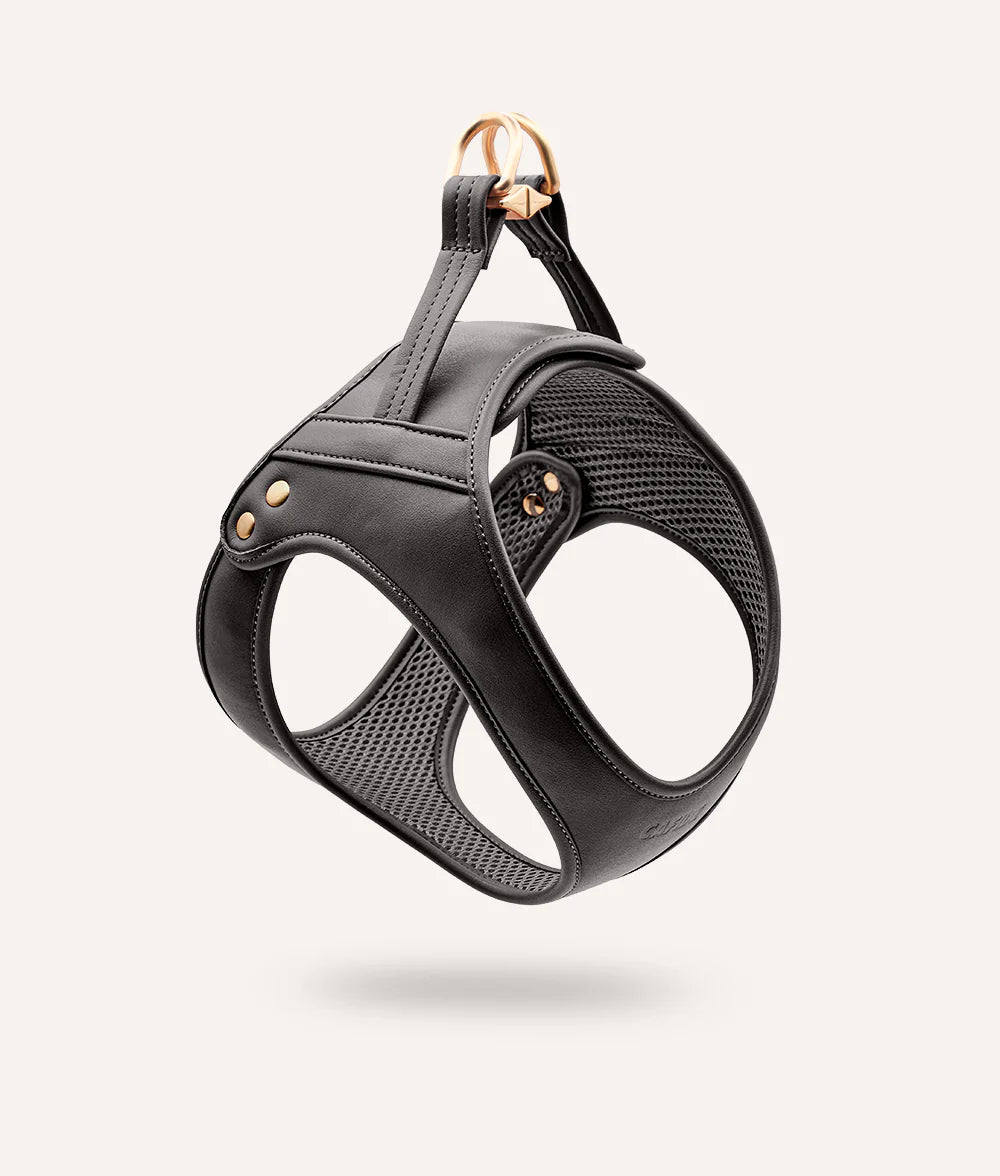 Cafide - Tuig Zwart Vegan leer