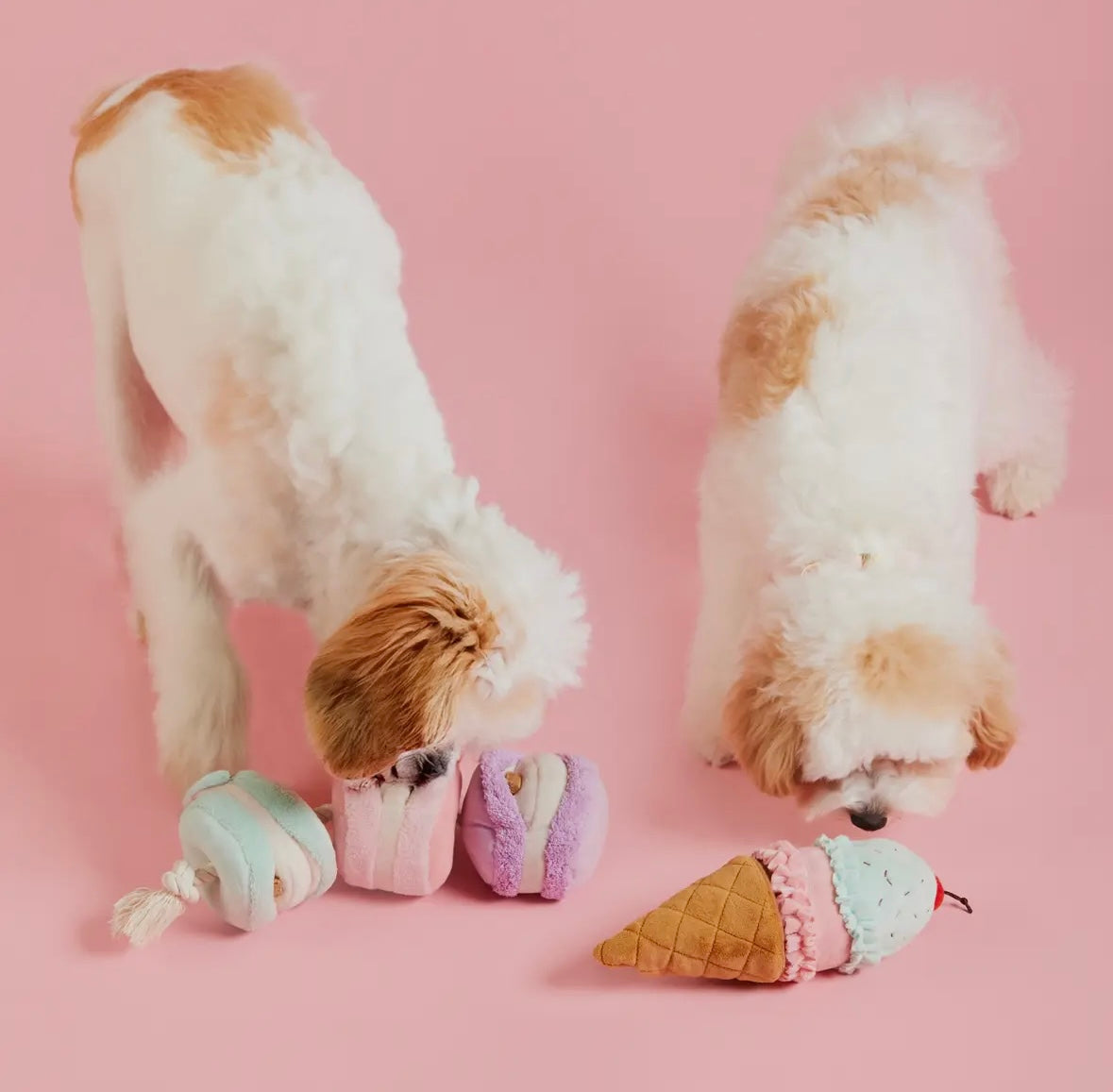 The Foggy Dog - Interactief speelgoed macarons