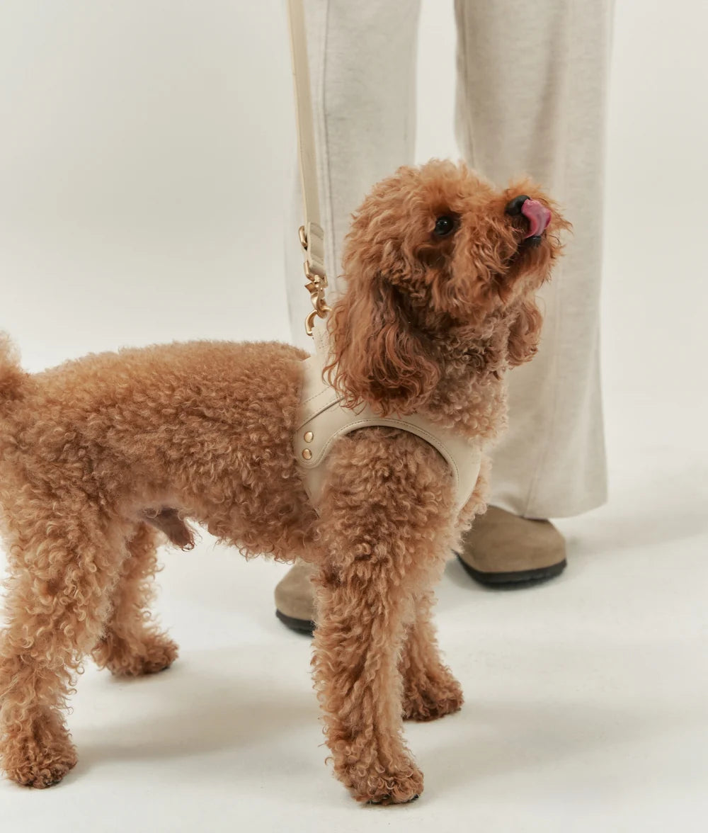 Cafide - Tuig Beige Vegan leer