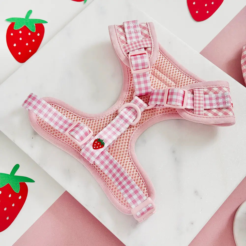 Cocopup London - Strawberry Picnic tuig
