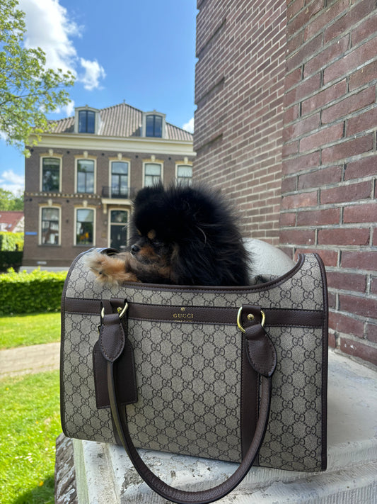 Reistas bruin