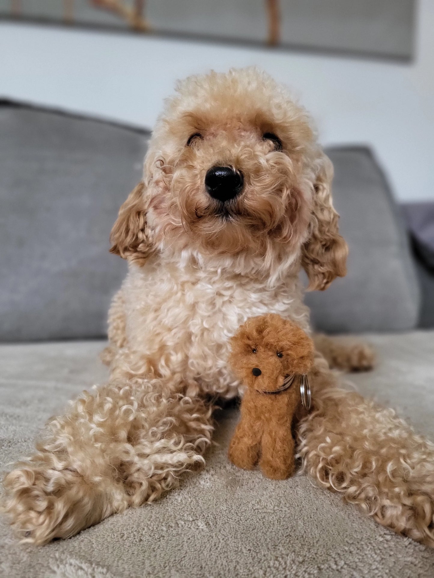 Fluffy Autosleutel hanger