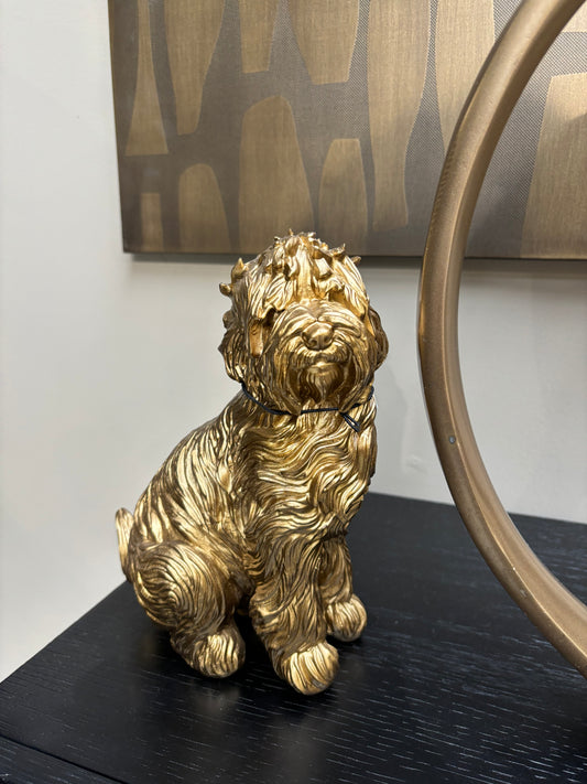 Beeld Labradoodle Goud