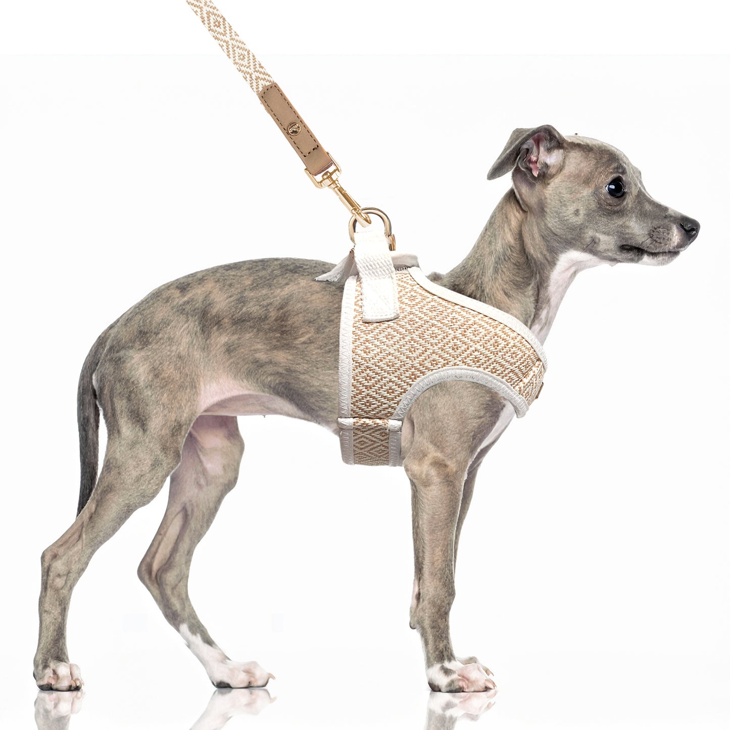 Milk & Pepper - Tuig Kofi Beige