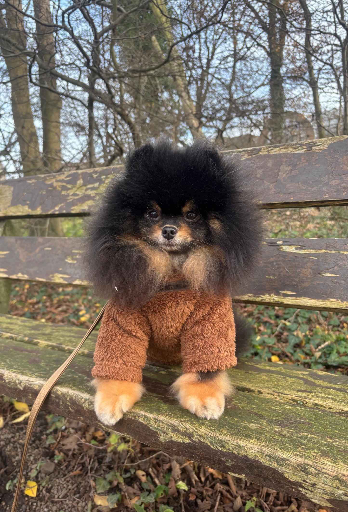 Essentials - Teddy sweater bruin