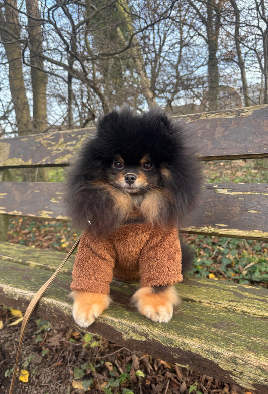 Essentials - Teddy sweater bruin