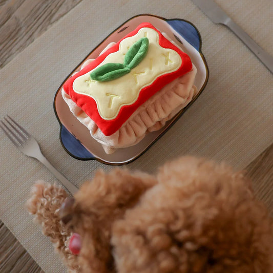 Pups & Bups - Intelligentie speelgoed Lasagne