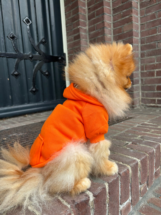Kingsday - Oranje hoodie