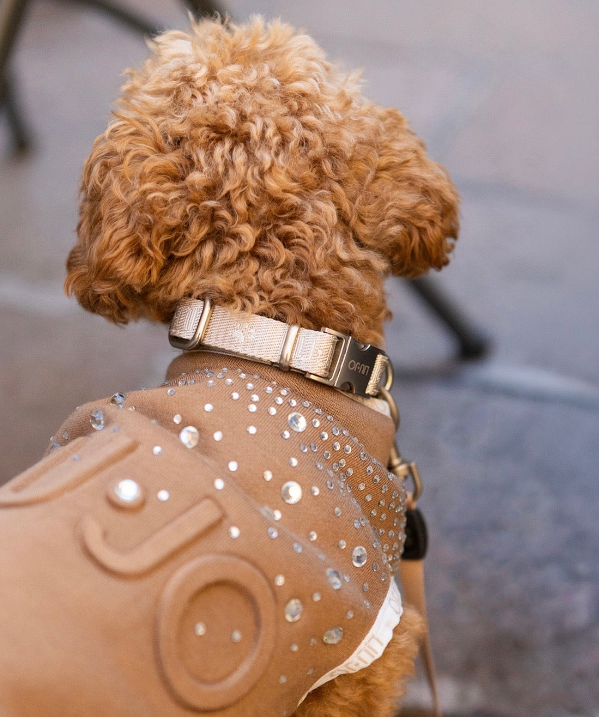 Liu Jo Pets - Halsband Jacquard Caramel