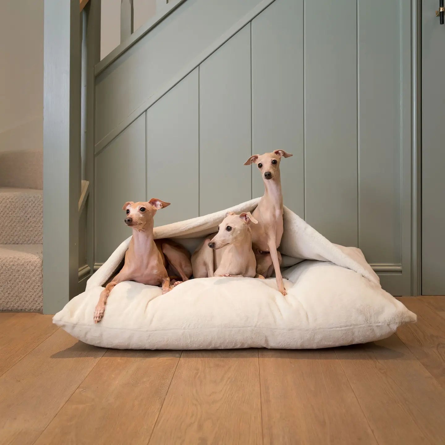 Lords & Labradors - Sleepy Burrow imitatiebont