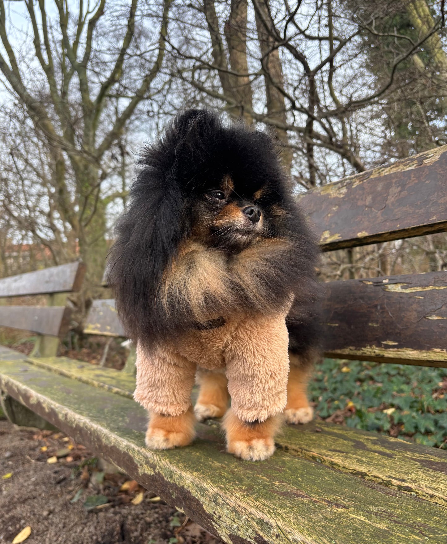 Essentials - Teddy sweater beige