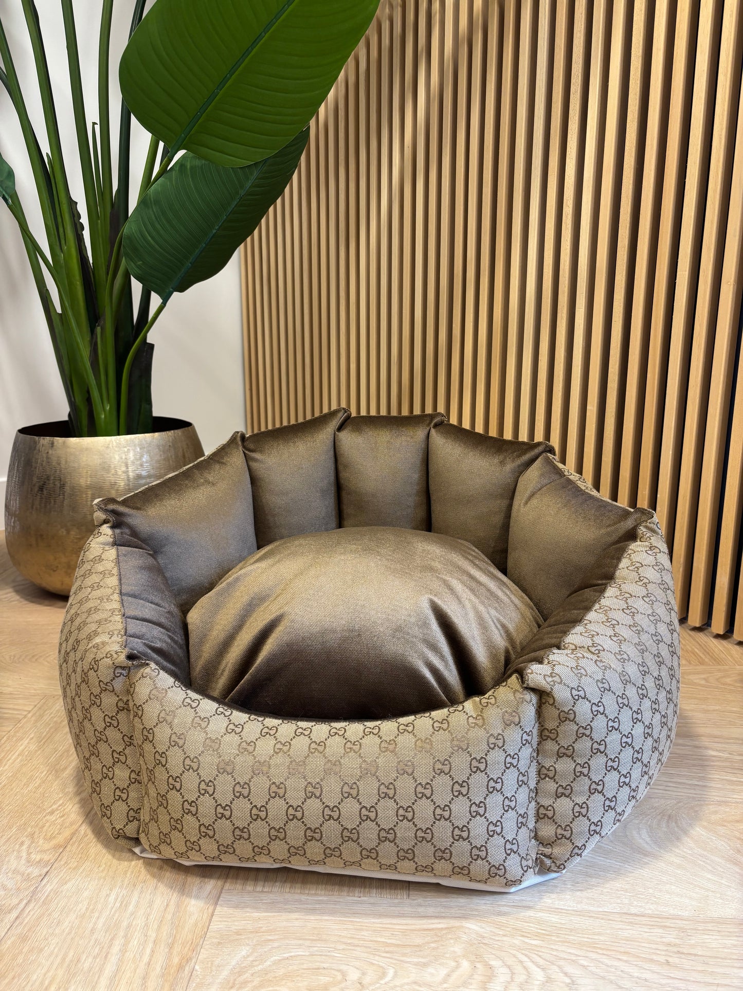 Shell Mand - Beige GG