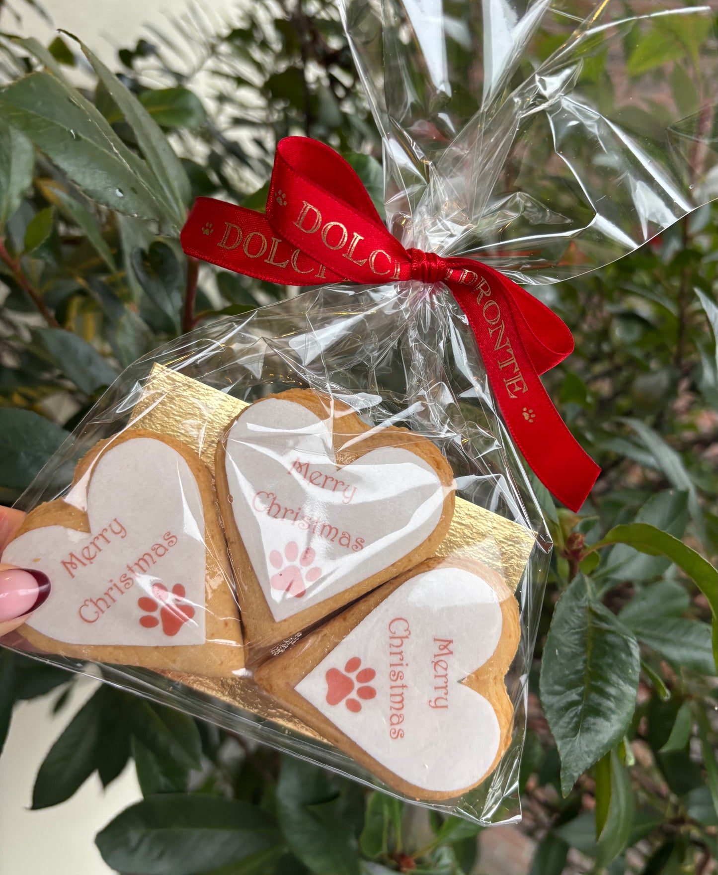 Dolci Impronte Merry Christmas koekjes