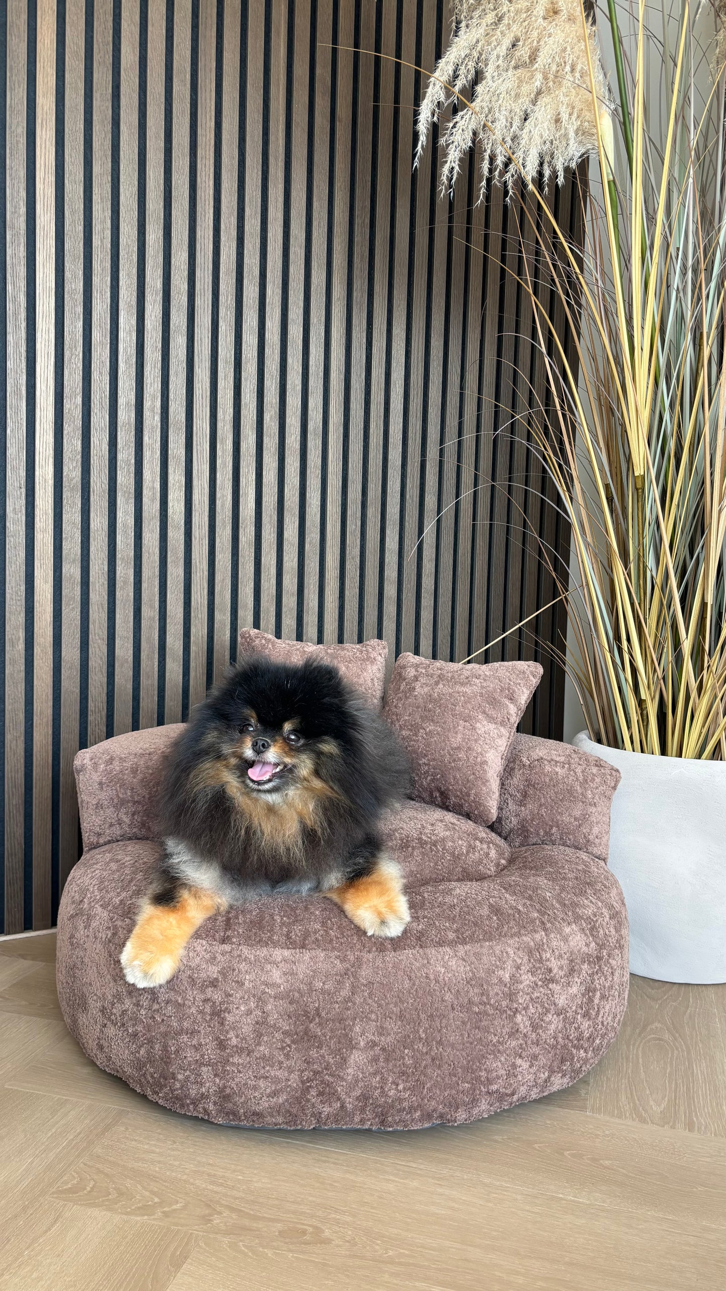 Lounge bed Blade - Miu Bruin
